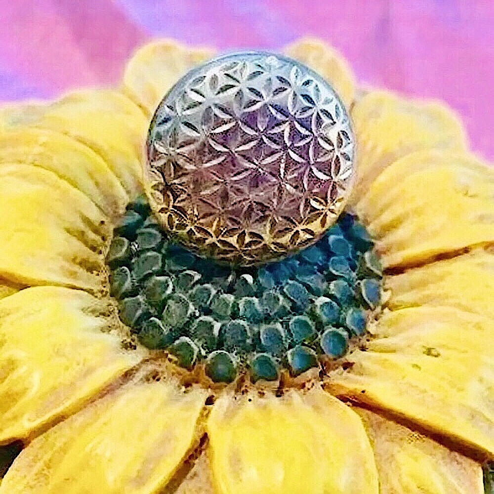 🌻Sterling Silver/925 Laser Cut Disc Ring (6)🌻